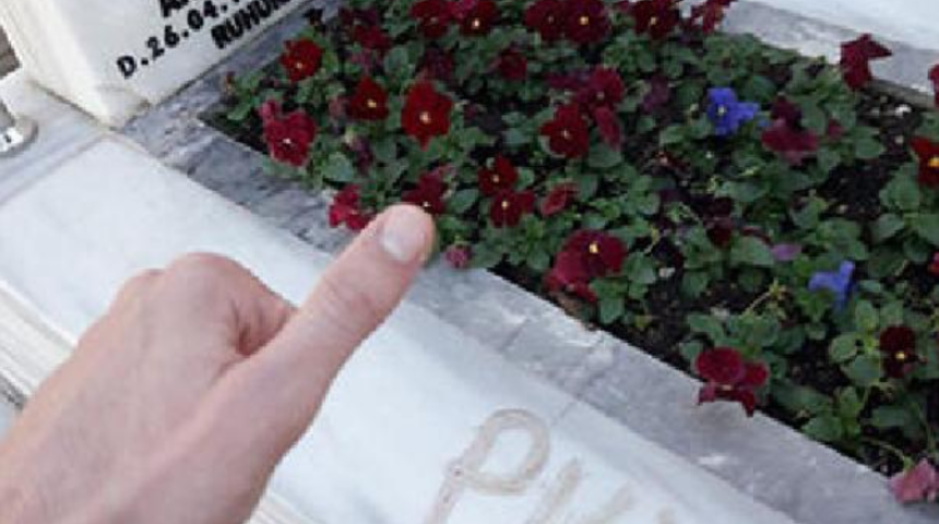 Şehit mezarına  ‘PKK’ yazan ve şehitlere küfreden Ferhat Şahin'e tahliye kararı!