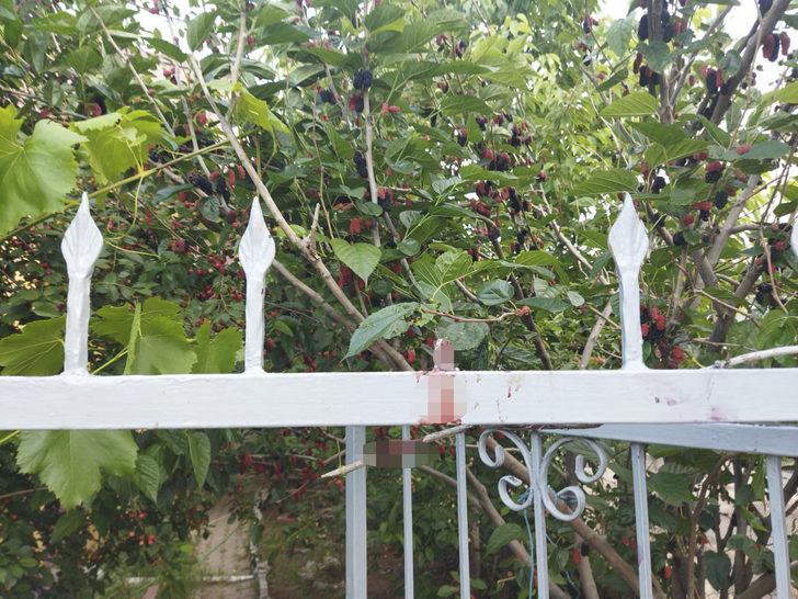 Sivas'ta bir çocuk eline saplanan demirle hastaneye kaldırıldı G2