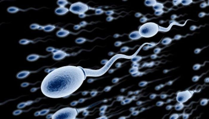Sperm değerleri bozuldukça, DNA hasar oranı da artar