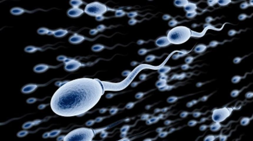 Sperm değerleri bozulduk&ccedil;a, DNA hasar oranı da artar