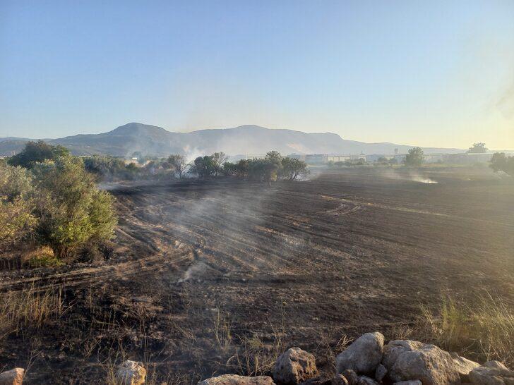 Manisa'da çıkan yangında buğday ekili 3 hektar alan zarar gördü G1