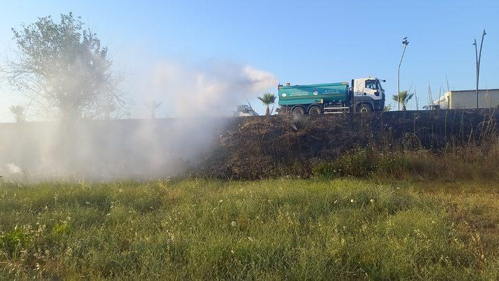 Manisa'da çıkan yangında buğday ekili 3 hektar alan zarar gördü G3