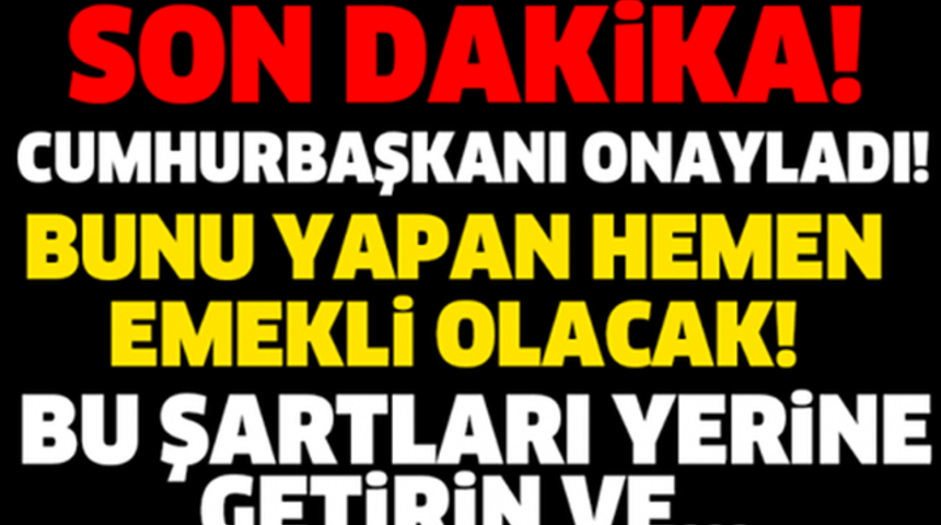 Son Dakika Cumhurbaşkanı Onayladı Bunu Yapan Herkes Hemen Emekli Olacak!