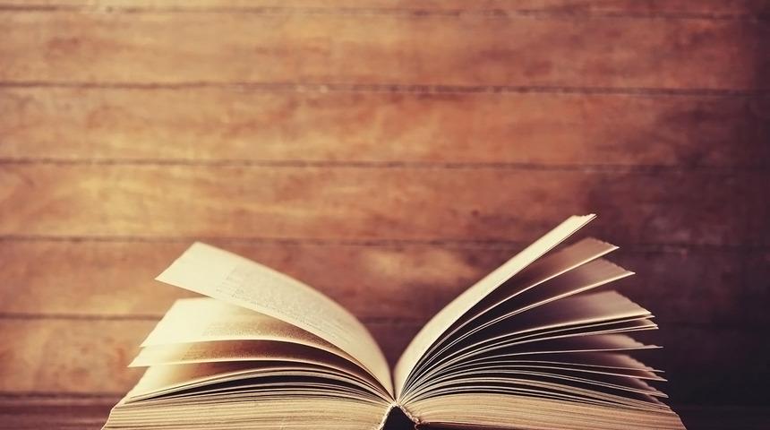 Efradını cami ağyarını mani bir şekilde ne demek? Efradını cami ağyarını mani deyiminin anlamı ne?