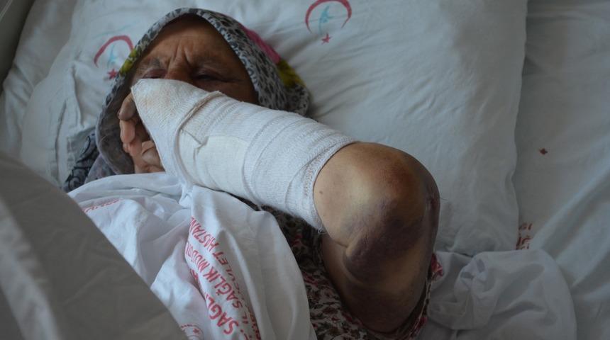 Yaşlı çifte evlat dayağı! Vicdansızca öldüresiye dövdü, yerlerinden kalkamadılar