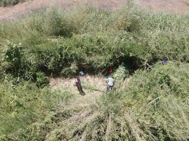 Antalya'da 543 kök Hint keneviri ile 1 kilo 135 gram esrar ele geçirildi G2