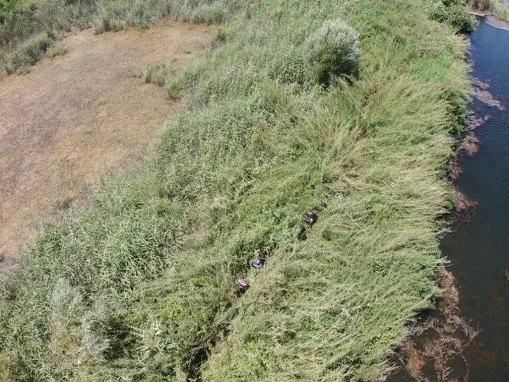 Antalya'da 543 kök Hint keneviri ile 1 kilo 135 gram esrar ele geçirildi G3