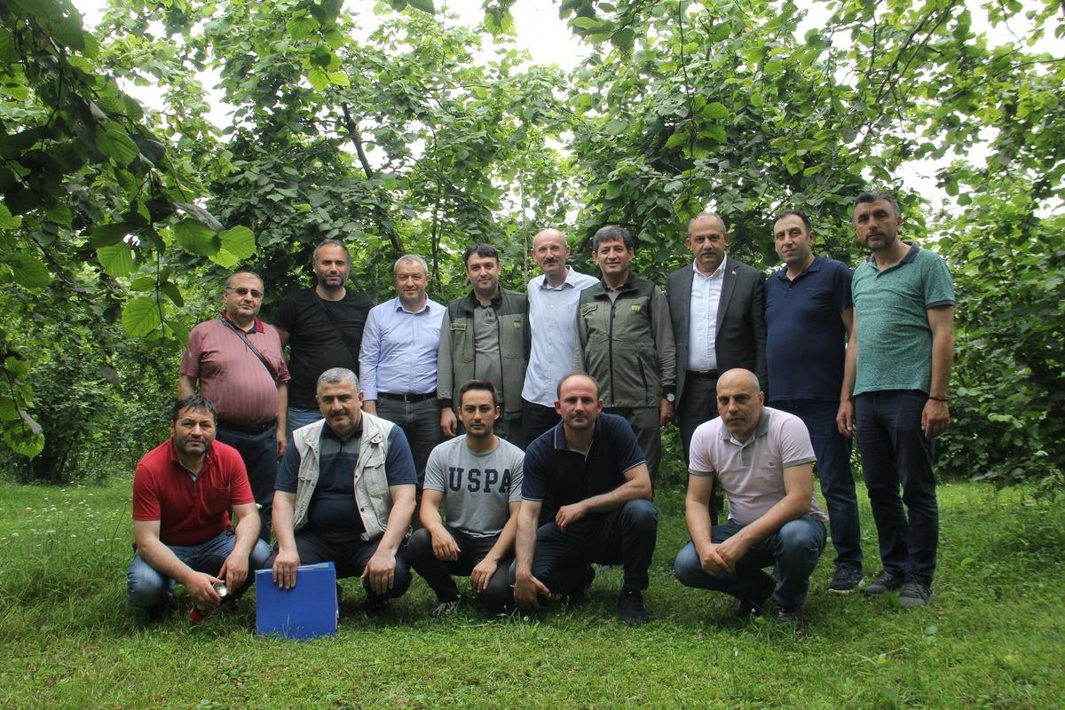 Trabzon'da fındıkta rekolte tespiti i&ccedil;in &ccedil;alışmalara başlandı