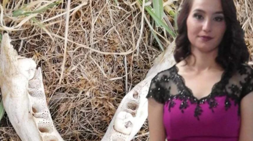 Sevil Kutlu cinayetinde kan donduran detaylar! Çene kemikleri bulunmuştu... Katil, cesedi valizde taşımış