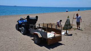 Antalya'da denizde ölü yeşil deniz kaplumbağası bulundu