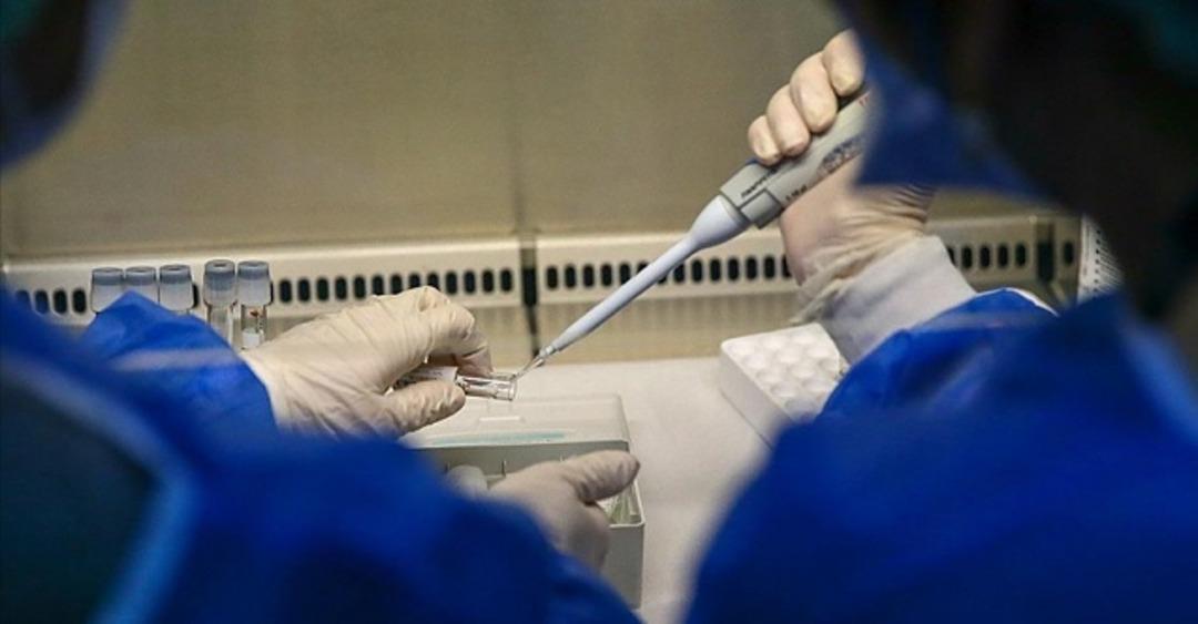 Bir&ccedil;ok &uuml;lke diken &uuml;st&uuml;nde! DS&Ouml;'den korkutan a&ccedil;ıklama: "Vakalar &uuml;&ccedil;e katlandı"