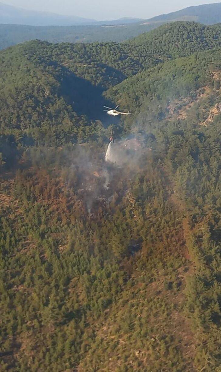 GÜNCELLEME - İzmir'de ağaçlandırma sahasındaki yangın kontrol altına alındı G2