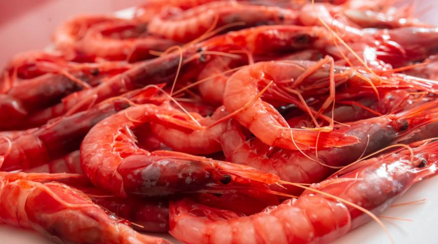 Tam bir protein deposu! İşte kas gelişimi için yararlı 7 besin...