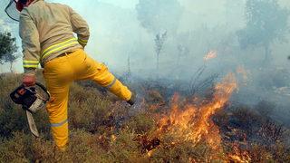 AFAD'dan 6 ile 'orman yangını' uyarısı! 