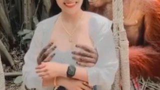 Sosyal medyada viral oldu! Orangutan turistin göğüslerine elleyip bir anda öpmeye başladı