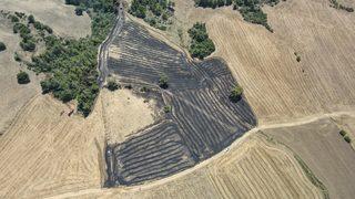 Adana'da çıkan orman yangını söndürüldü