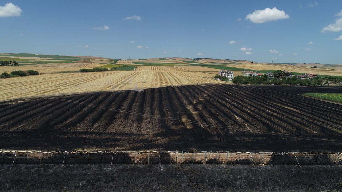 Tekirdağ'da 50 d&ouml;n&uuml;m tarım alanı yandı