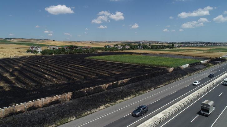 Tekirdağ'da 50 dönüm tarım alanı yandı G3