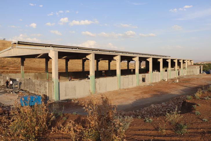 Siirtli çiftçi, devlet desteğiyle günlük 5 ton süt üretecek çiftlik kuruyor G2