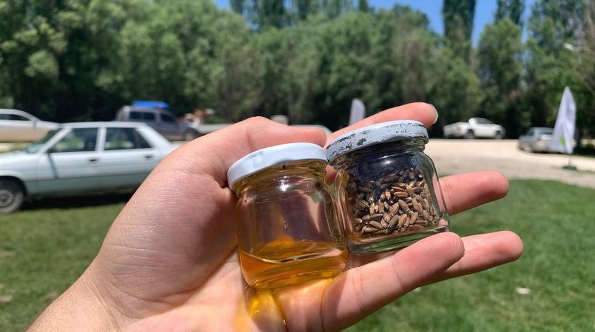 Türkiye'nin biyodizel ihtiyacını karşılayacak! Anadolu'nun en büyük potansiyeline sahip