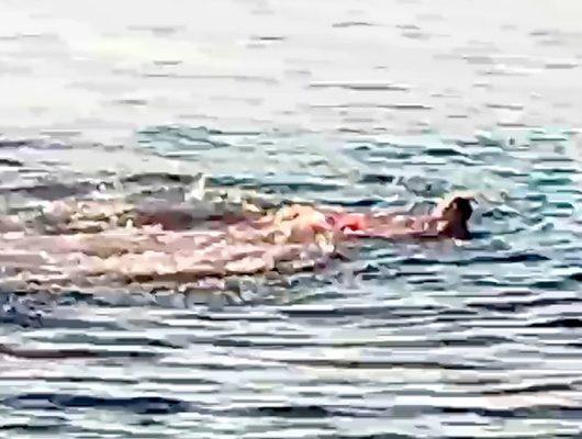 Denizde dehşeti yaşadı! Köpek balığı saldırdı, parçalanarak öldü