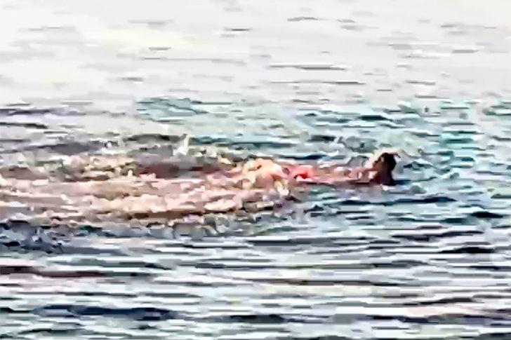 Tatilde dehşet anları! Denize giren kadın köpek balığı saldırısında parçalanarak öldürüldü