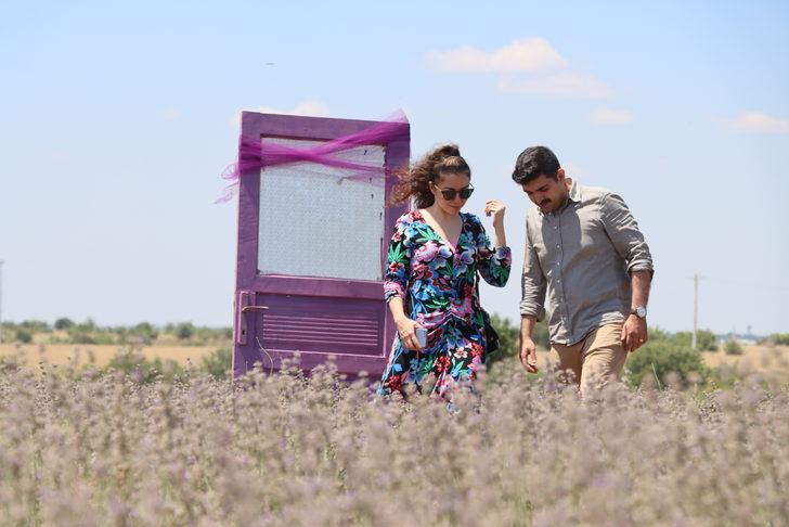 "2. Kırklareli Lavanta Günleri" başladı G1