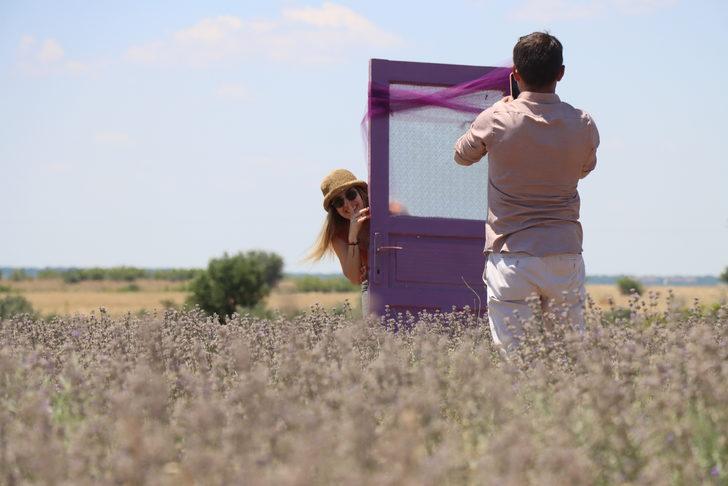 "2. Kırklareli Lavanta Günleri" başladı G2