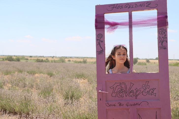 "2. Kırklareli Lavanta Günleri" başladı G3