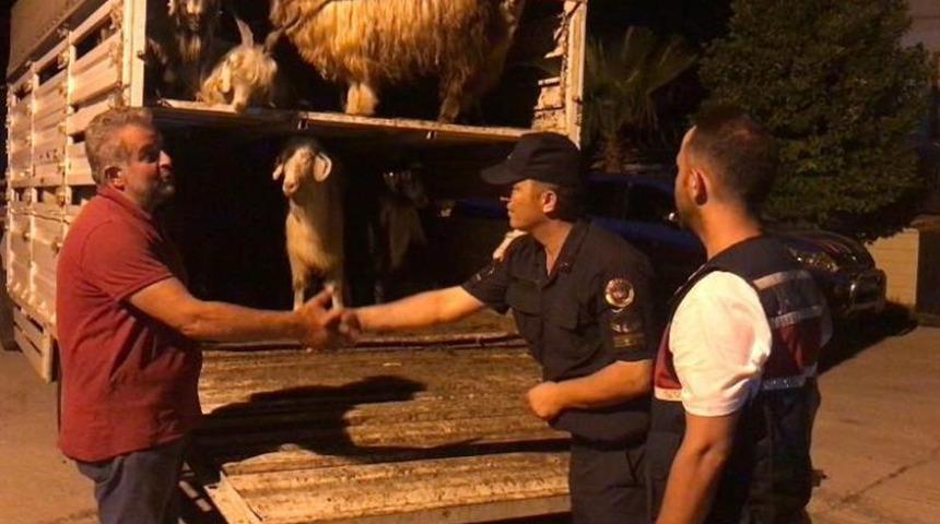 Daha fazla para kazanma hayali kabusa dönüştü! Sosyal medyadan tanışıp Antalya'ya geldi, sonra....