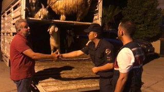 Daha fazla para kazanma hayali kabusa dönüştü! Sosyal medyadan tanışıp Antalya'ya geldi, sonra....