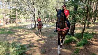 Atlı polisler, yangınlara karşı Kemerburgaz Kent Ormanı'nda denetim yaptı
