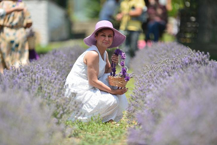 Karabük'te mor tarlalarda lavanta hasadı başladı G5