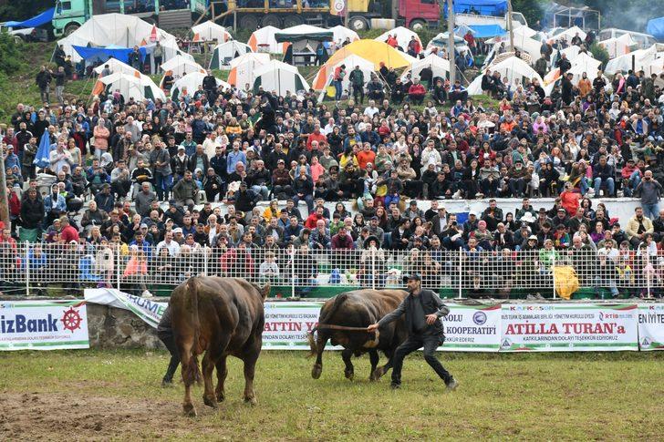 "41. Kafkasör Kültür, Turizm ve Sanat Festivali" boğa güreşleriyle devam ediyor G3