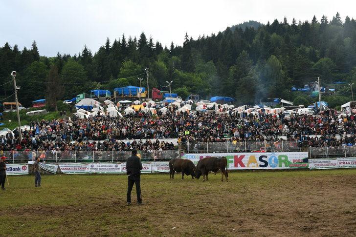 "41. Kafkasör Kültür, Turizm ve Sanat Festivali" boğa güreşleriyle devam ediyor G4
