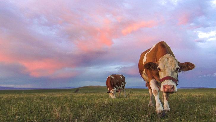 Kars'ta yağmur bulutları kızıla büründü G3