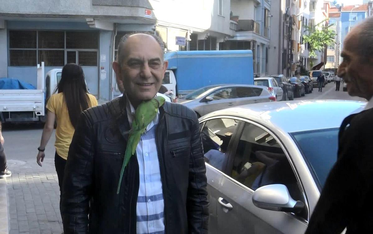Evde sıkılan papağanını gezmeye &ccedil;ıkarıyor