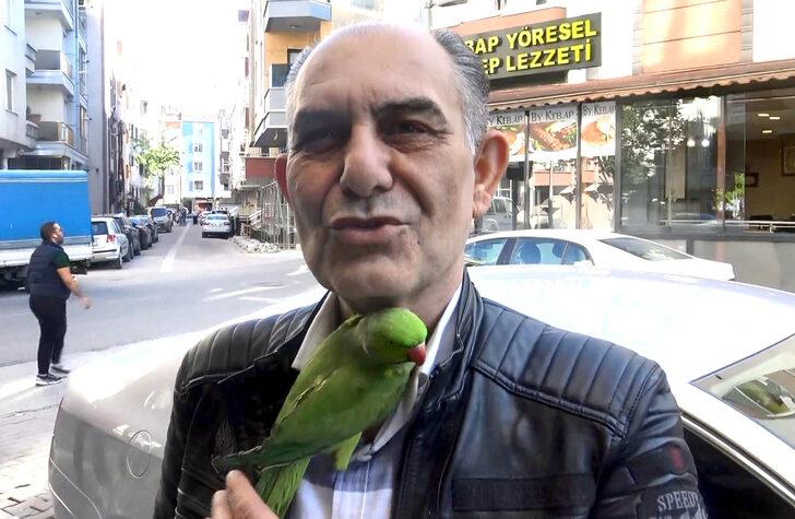 Evde sıkılan papağanını gezmeye çıkarıyor G5