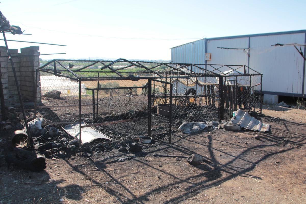 Antalya'da otluk ve sazlık alanda &ccedil;ıkan yangın s&ouml;nd&uuml;r&uuml;ld&uuml;