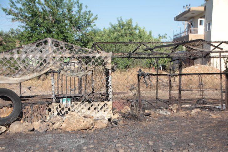 Antalya'da otluk ve sazlık alanda çıkan yangın söndürüldü G2