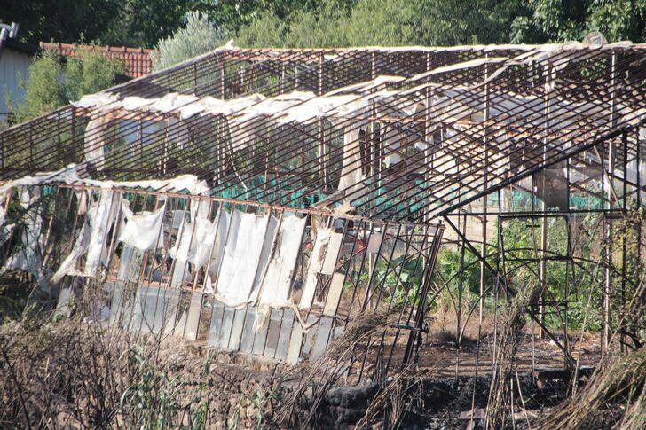 Antalya'da otluk ve sazlık alanda çıkan yangın söndürüldü G5