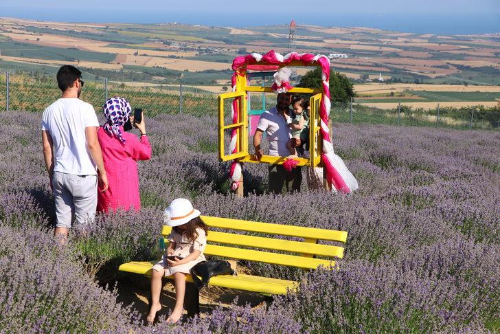 Tekirdağ'daki lavanta tarlaları ziyaretçilerini ağırlıyor G1