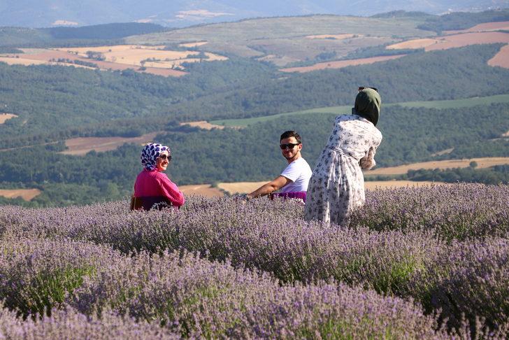 Tekirdağ'daki lavanta tarlaları ziyaretçilerini ağırlıyor G3