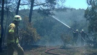Son dakika: Beykoz'da ormanlık alanda yangın! Olay yerine çok sayıda itfaiye ekibi sevk edildi