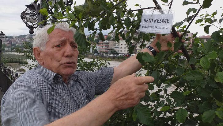 Ağaçların kesilmesini önlemek için çareyi dallarına yazı asmakta buldu G1