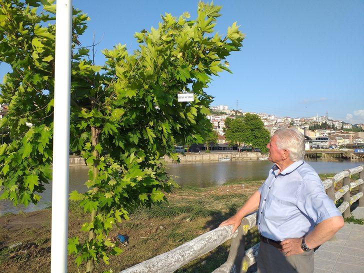 Ağaçların kesilmesini önlemek için çareyi dallarına yazı asmakta buldu G2