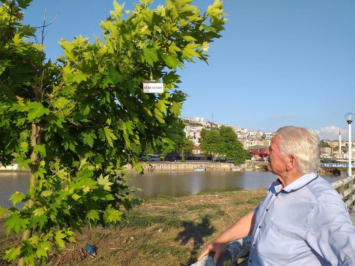 Ağaçların kesilmesini önlemek için çareyi dallarına yazı asmakta buldu G3