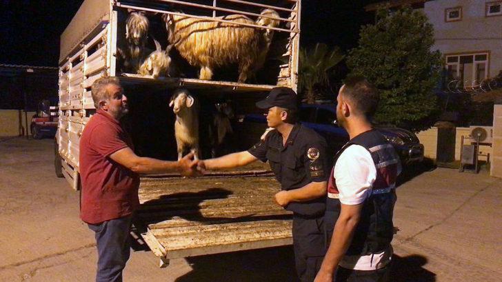 Sosyal medyadan tanıştıkları kişinin keçilerini satan 2 kişi yakalandı G3