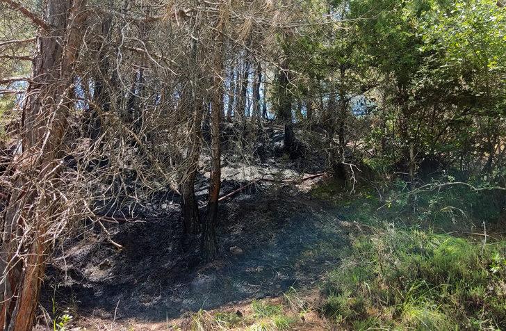 Mersin'in Tarsus ilçesinde iki noktada çıkan orman yangınları kontrol altına alındı