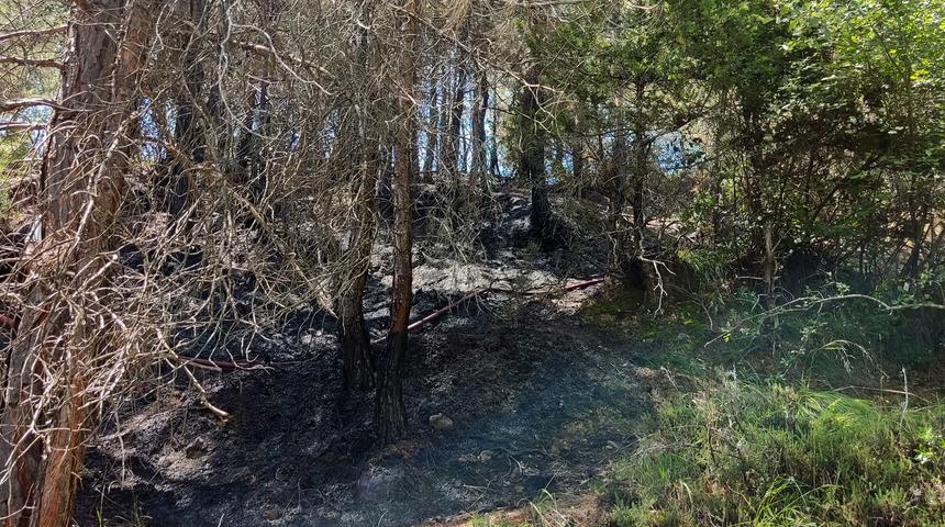 Mersin'in Tarsus ilçesinde iki noktada çıkan orman yangınları kontrol altına alındı